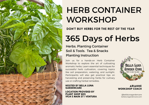 Herb Container Garden | Herbs for Every Day of the Year