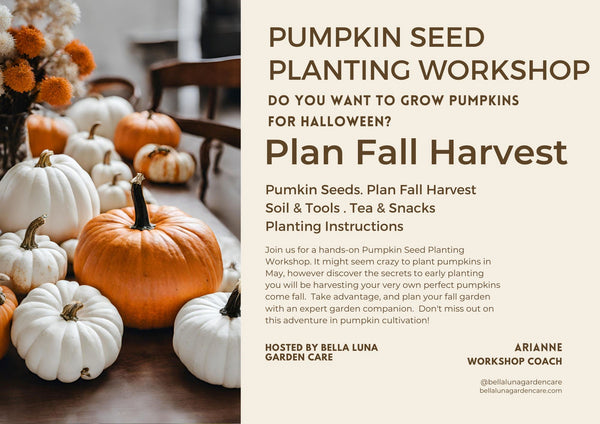 Pumpkin Seed Planting Workshop & Kit